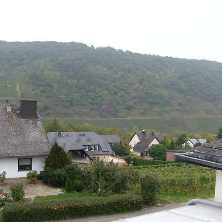 Pension Kroth An Der Mosel بريديل المظهر الخارجي الصورة